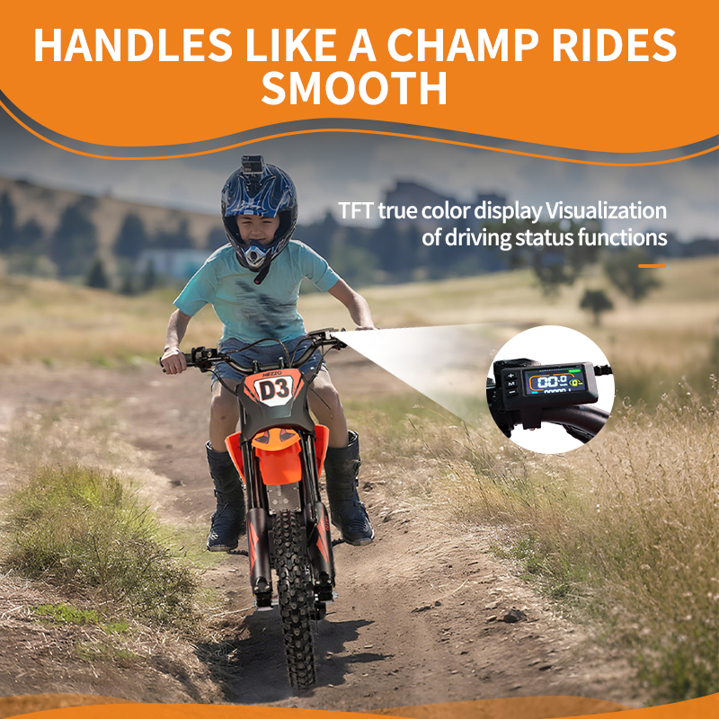 HEZZO D3 | 6000W Off-Road Electric Bike